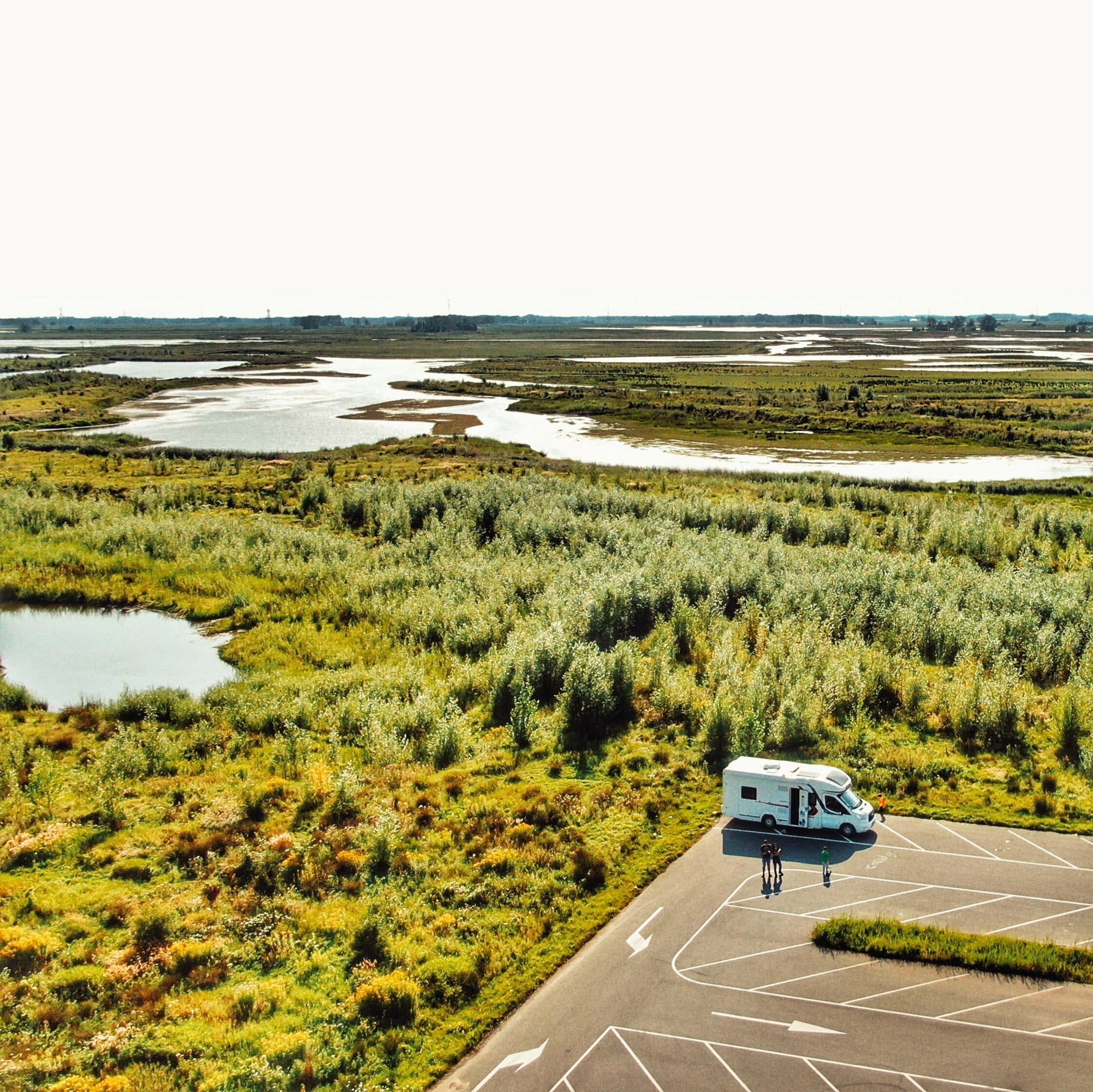 Lire la suite de l'article Parc national de Biesbosch, entre eaux douces