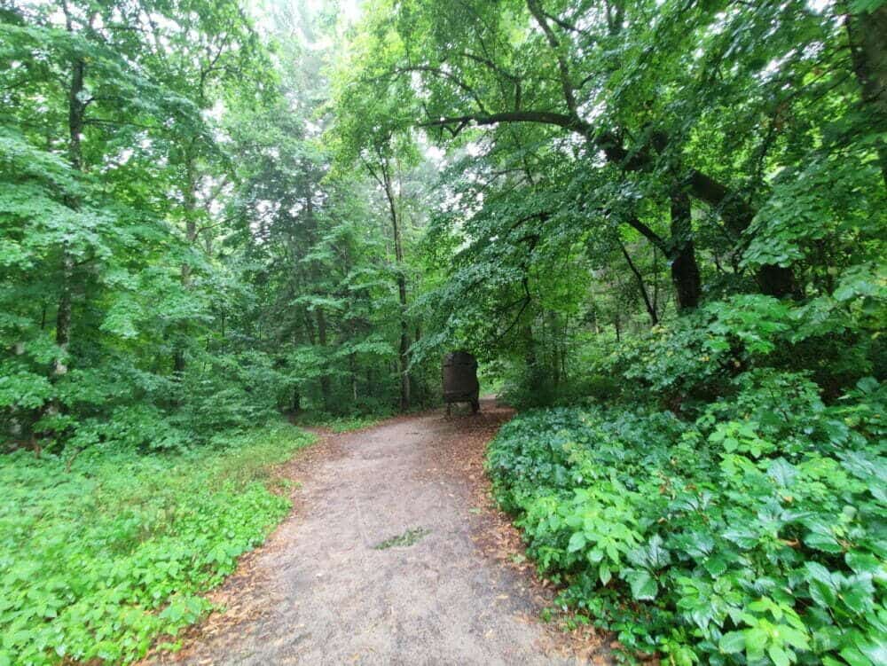 Parc national de Roztocze en Pologne