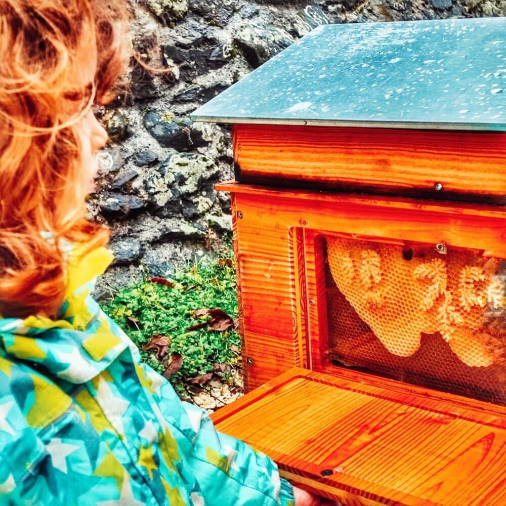 Panel de abejas en las murallas de Yvoire