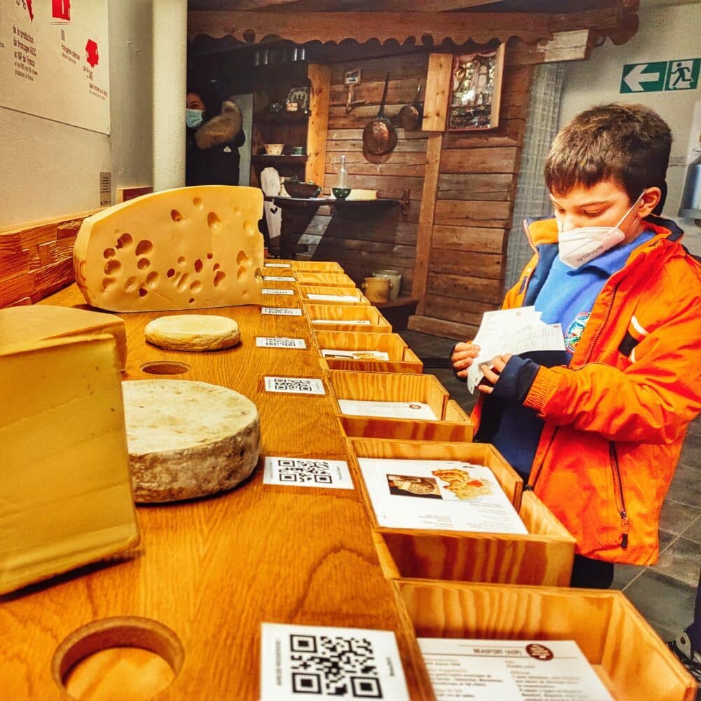 Tipos de queso de la Alta Saboya, entre ellos está el queso de Abondance