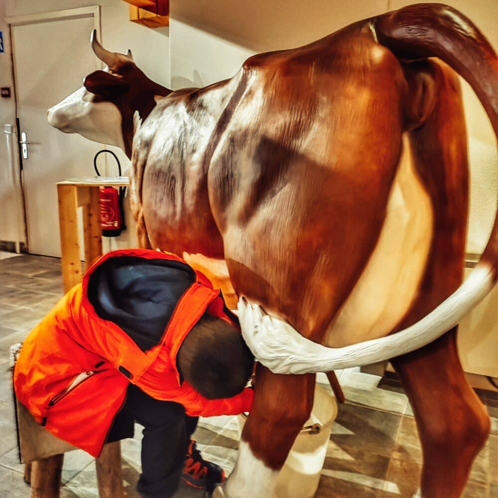Simulador para ordeñar una vaca en la Casa del Queso de Abondance