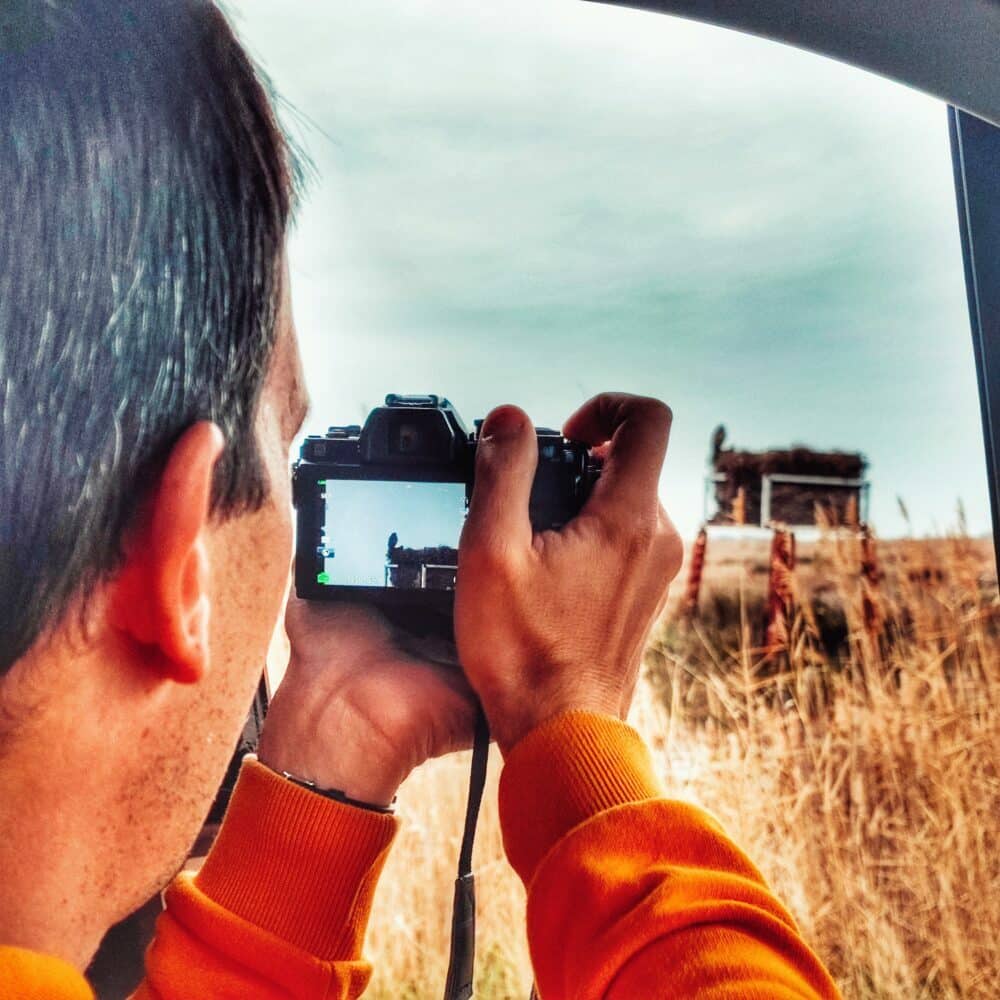 Fotografia de pássaros na Camargue