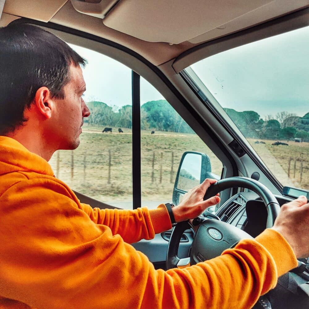 Conduciendo en la Camarga a modo de safari con los toros atrás