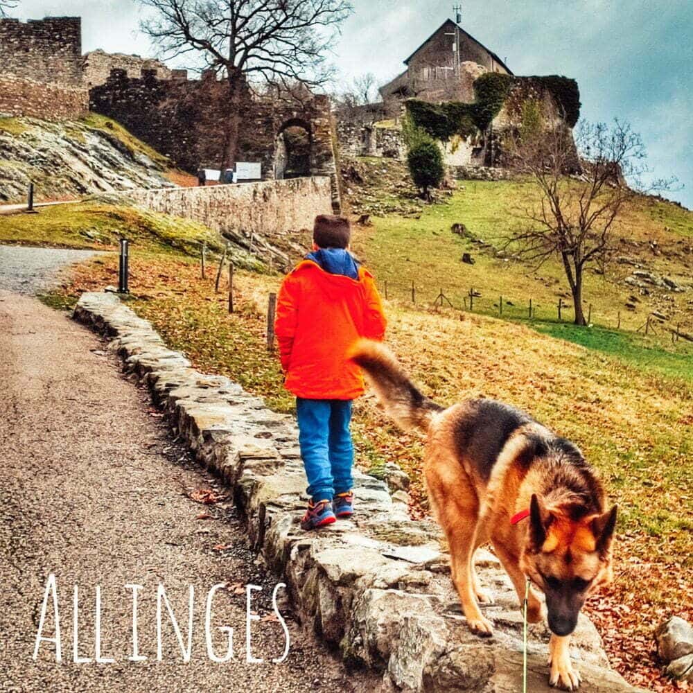 castles of allinges