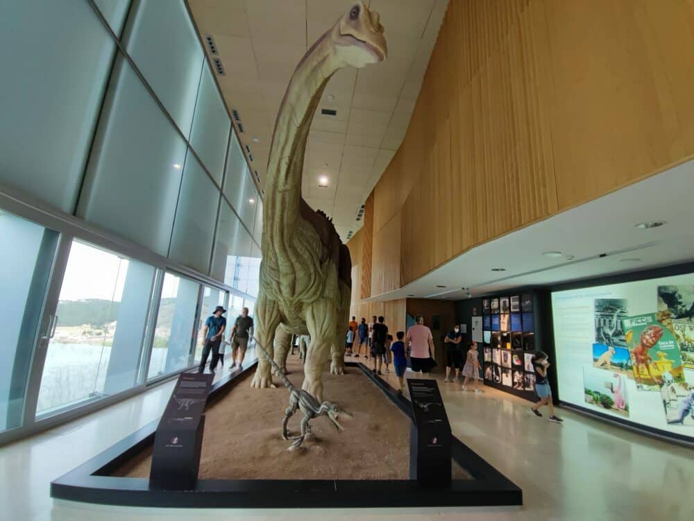 Museo de Paleontología de Castilla y la Mancha en Cuenca