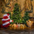 Entrez dans le conte magique du Val de Loire à Noël