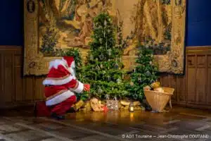 Llegeix més sobre l'article Entra al conte màgic de la vall del Loira per Nadal