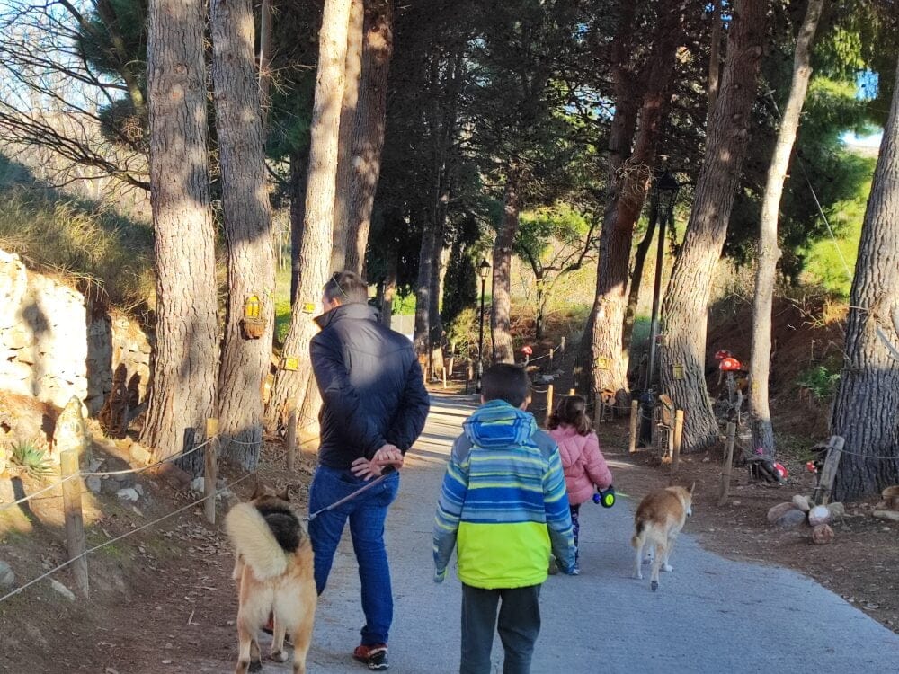 El bosque encantado de Bureta en su tramo original