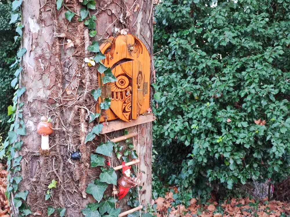 Detalhe da floresta encantada de Bureta na área mais nova do Parque Luchan