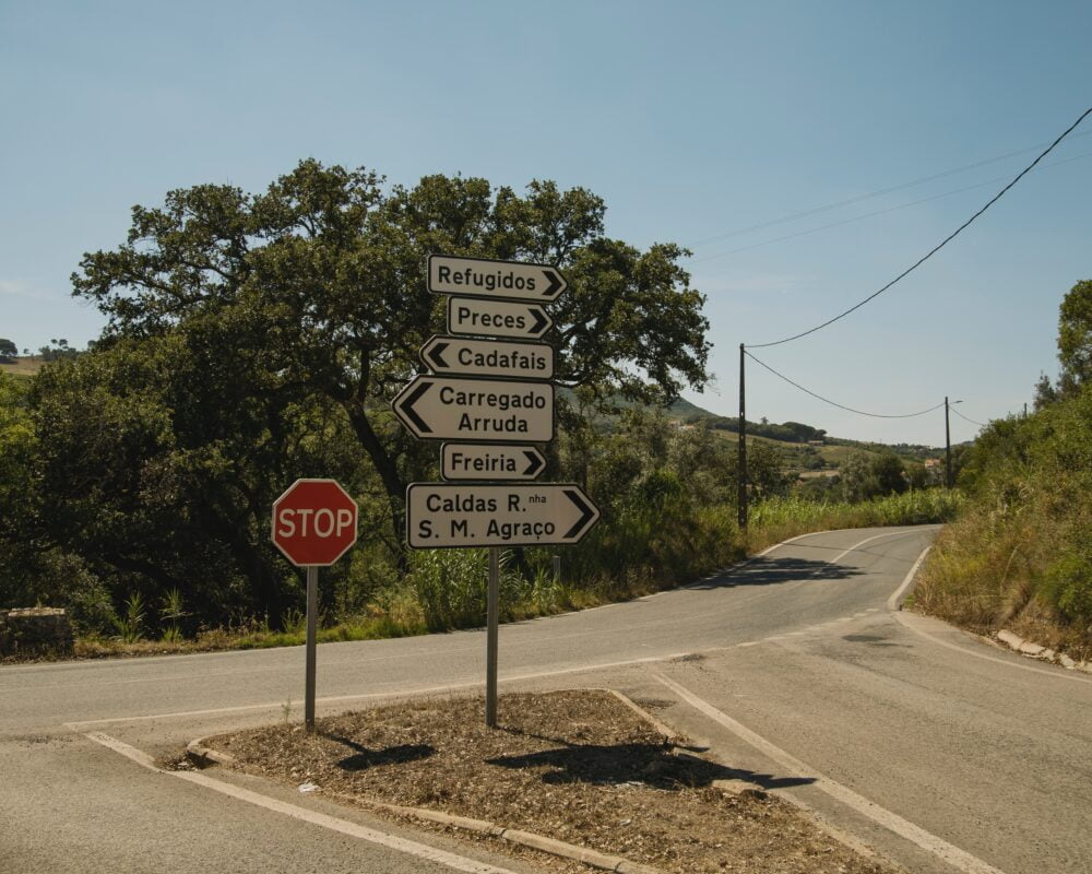 Carretera portuguesa. Foto de pexels-joao-guerreiro-17249887