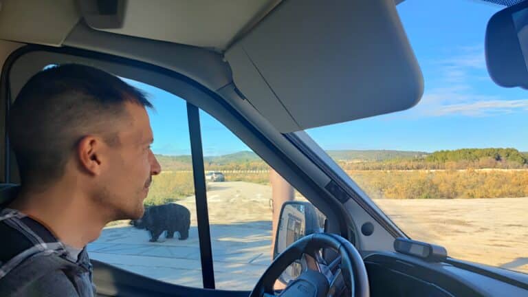 In safari con il nostro camper a Sigean