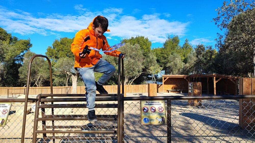 Walking area, where you can access to touch some dwarf goats for the little ones