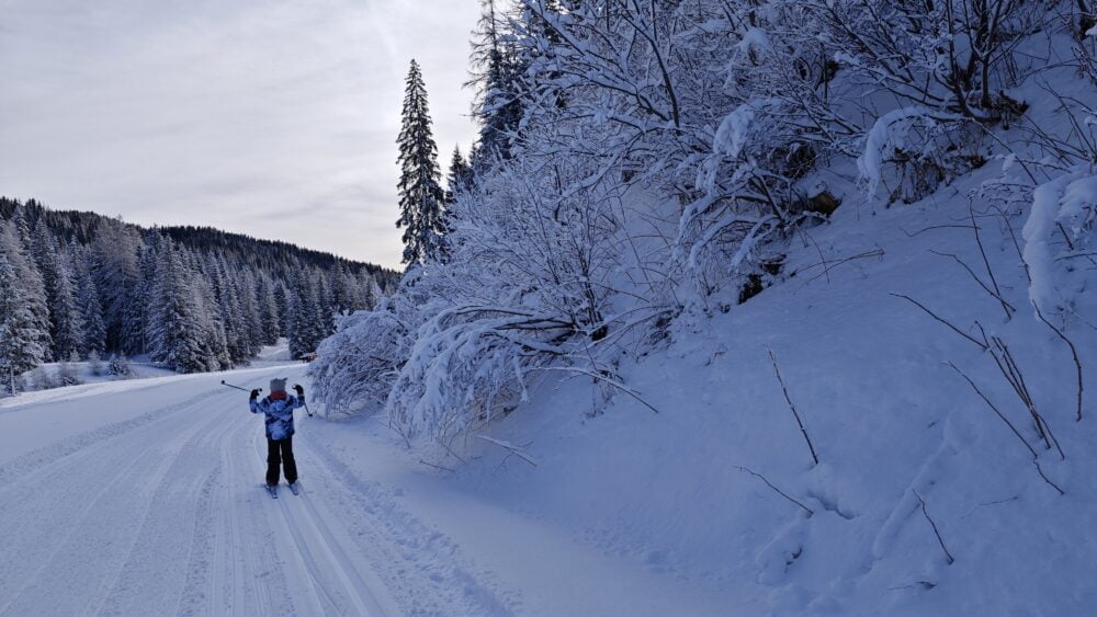 Cross-country skiing in Palafavera