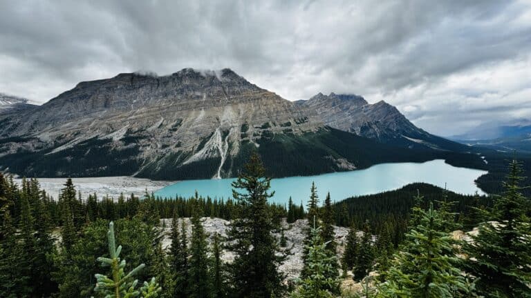 Llac glacera Peyto a la Icefield Parkway, Canadà