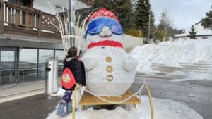 Lee más sobre el artículo Navidad en autocaravana: 10 destinos mágicos que no te puedes perder