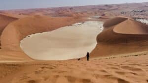 Lee más sobre el artículo Viaje a Namibia: guía completa para viajar por libre (ruta de 24 días, qué ver y consejos por nuestra experiencia) 