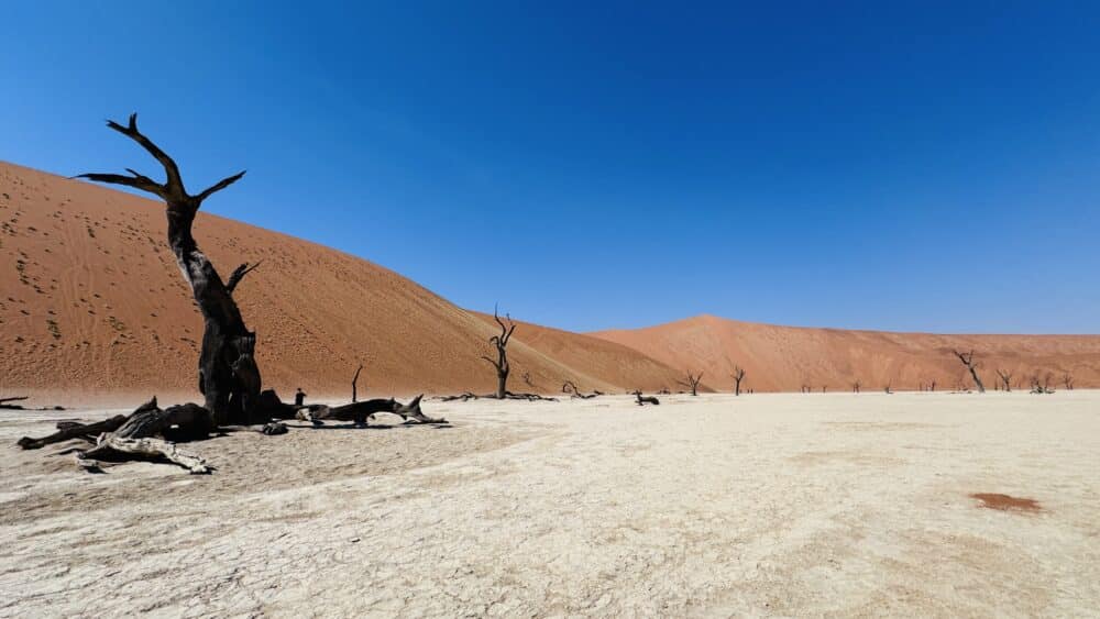 Deadvlei, salar de árboles muertos en Sossuvlei dentro del Parque Nacional del Namib