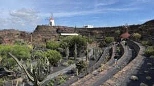 Lee más sobre el artículo Jardín de Cactus de Lanzarote: guía completa para visitarlo, precios, horarios y consejos