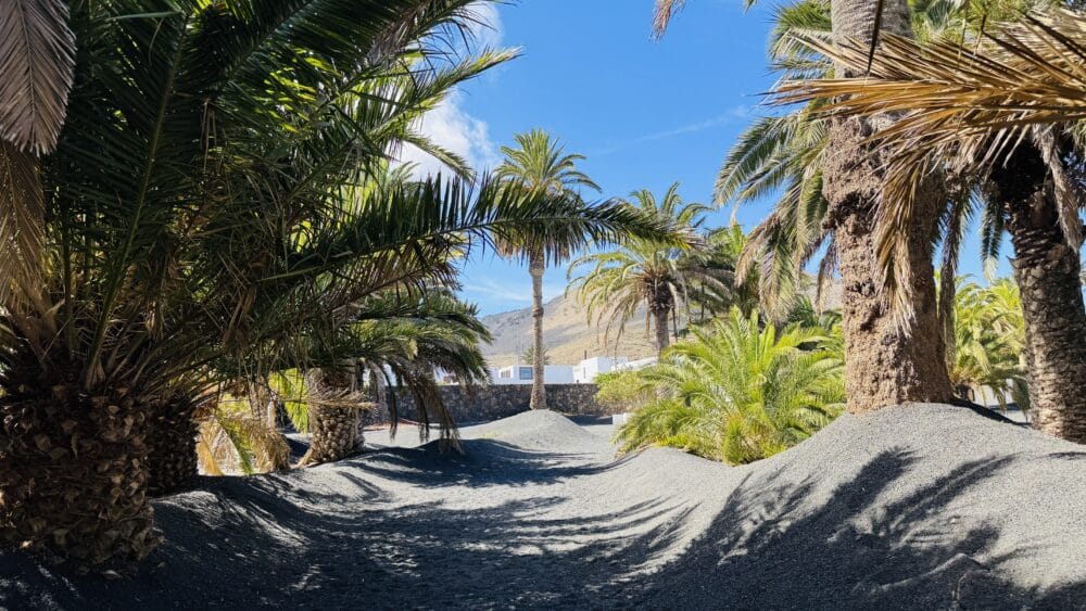 Vista del taller original de César Manrique en Haría, rodeado de palmeras