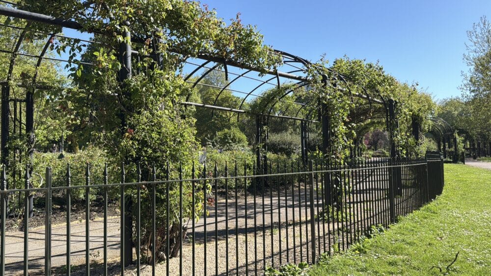Jardin de rosas de Hyde Park