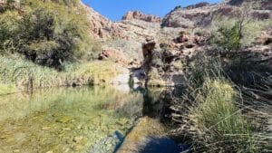 Lee más sobre el artículo El Parque Nacional del Namib – Naukluft