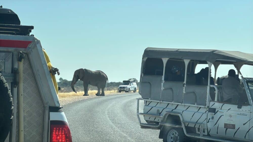 Safarifahrzeuge beobachten Elefanten in der Nähe des Andersson-Tors im Etosha-Nationalpark
