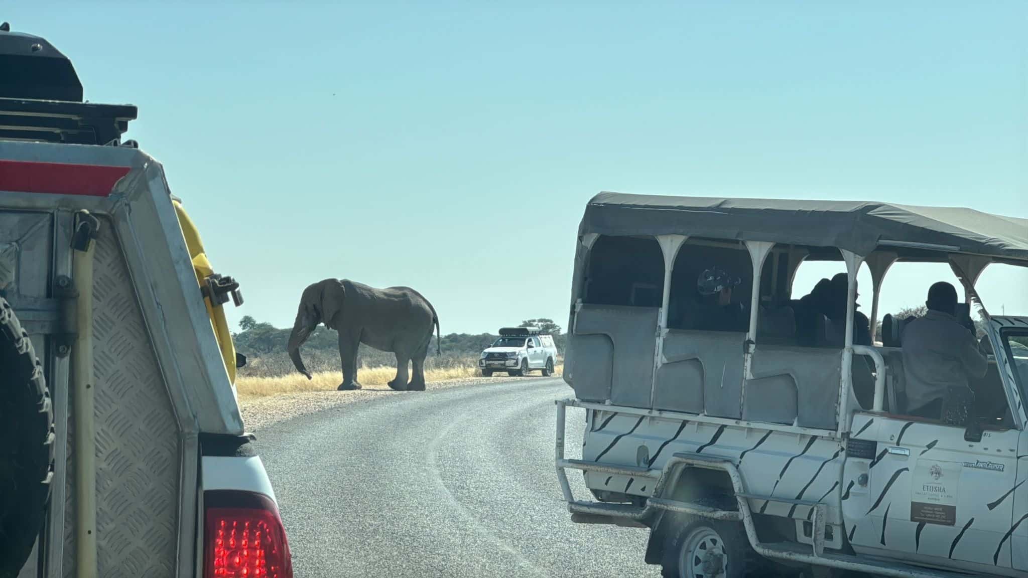 Safari por libre Namibia