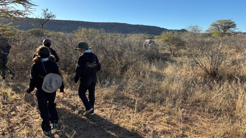 Caminando junto a rinocerontes durante el Rhino Drive de Waterberg