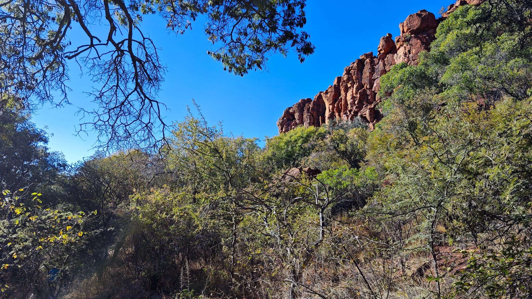 Waterberg Namibia: guía completa para visitar Waterberg Plateau National Park 