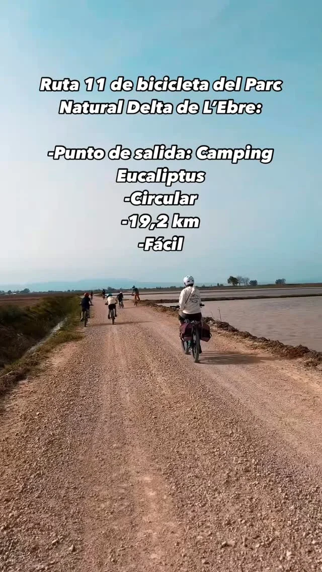 🌿🚴‍♂️ ¡Descubre la Ruta 11 del Parc Natural Delta de L’Ebre en bicicleta! 🚴‍♀️🌊 

Comenzamos en el Camping Eucaliptus, donde estamos con la autocaravana, y nos adentramos en un recorrido circular de 19,2 km perfecto para todos los niveles. 
Esta ruta fácil te llevará a través de paisajes impresionantes, donde podrás disfrutar de la biodiversidad única del delta, con vistas espectaculares y el sonido relajante de la naturaleza. 🌾✨

¡No olvides tu cámara para capturar los momentos más bellos y tu sentido aventurero para disfrutar de esta experiencia única! 🙌🌅 

¿Alguien más la ha hecho?

#parcnaturaldeltadelebre #deltadelebreenbici #deltadelebre #enbiciesmejor #enbicicleta #enbicicletaesmillor #biciconniños #bicicletaenfamilia #rutasenbicicletaconniños #rutasenbicicleta