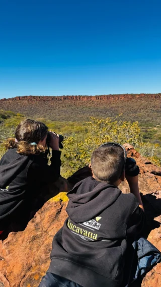 Namibia 🇳🇦 

Primeros 2 días por un país increíble en una aventura nueva en familia por libre, como nos gusta ❤️

📍Waterberg National Park, en el Waterberg Wilderness Lodge y camping de @one.namibia, super lugar recomendable para hacer caminatas ‘seguras’  y ver rinocerontes blancos, aunque también vimos  jirafas, damanes roqueros y dik-diks, entre otros animales entre montañas y tierras rojizas y verdes.

Impresionante bienvenida a Namibia ❤️

#namibia #africa #viajeenfamilia #africaconniñosporlibre #africaporlibre #safari #waterberg #waterbergnationalpark